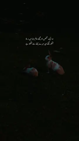 کتنا مایوس کیا ایک گُمان نے مجھ کو🍁 #fyp #foryou #urdupoetry #trandingtoday #vireal_video_ 