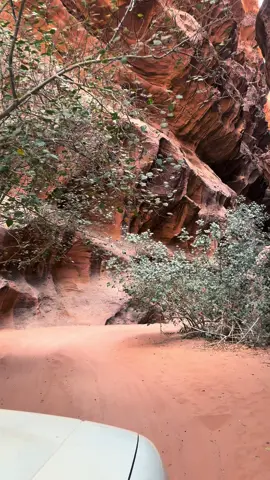 #تبوك#السعودية #ترند #اكسبلور#بجده_تبوك_المنطقة_الشمالية 