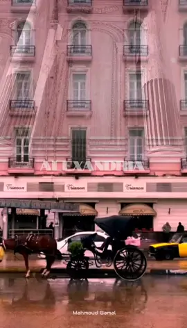 #اسكندرية 🌊#شتاء 🌧#تصويري 📸#تصميم_فيديوهات🎶🎤🎬 #foryoupageofficiall 