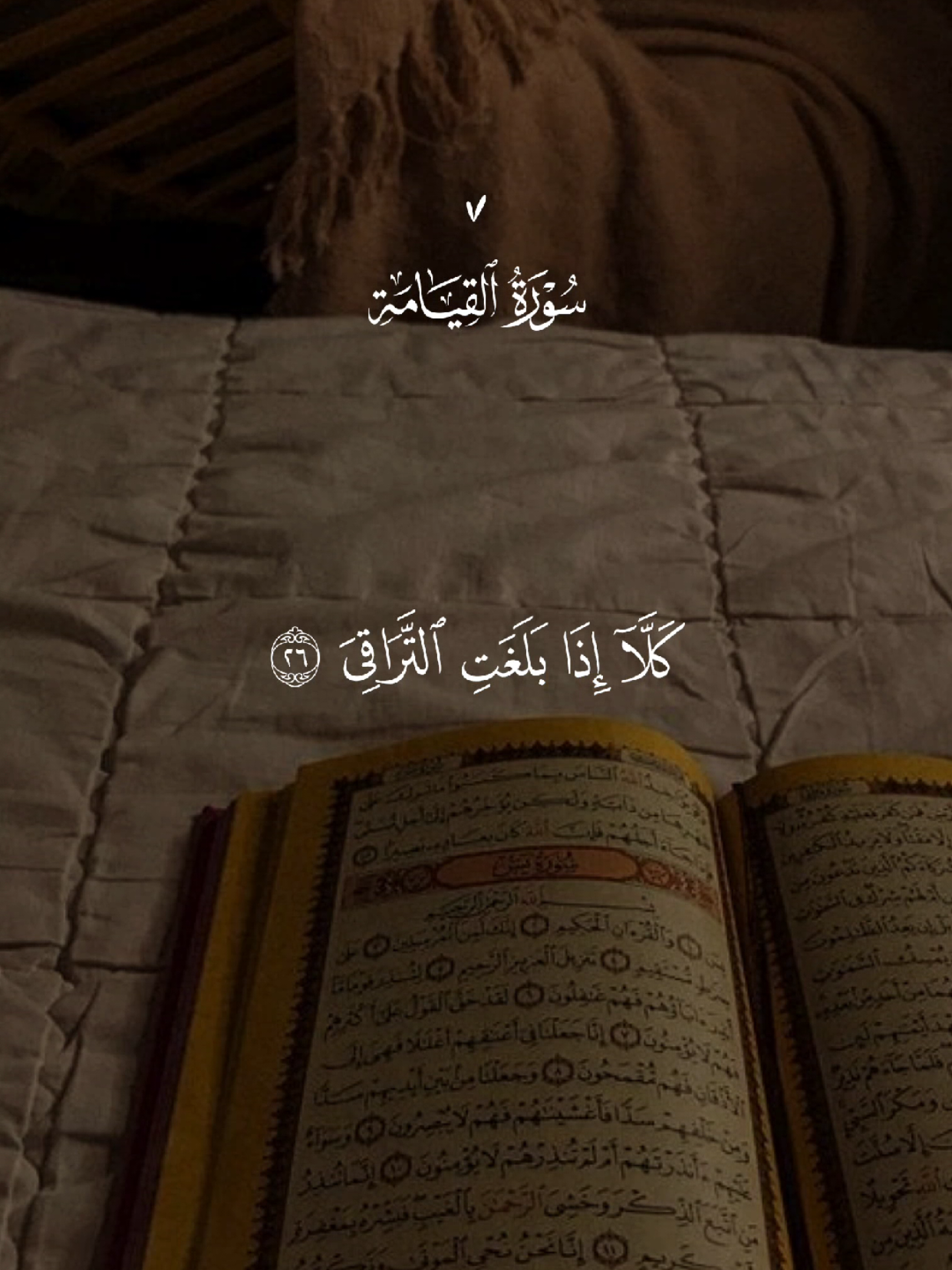 #قران #quran #قران_كريم #quran_alkarim #القران_الكريم 