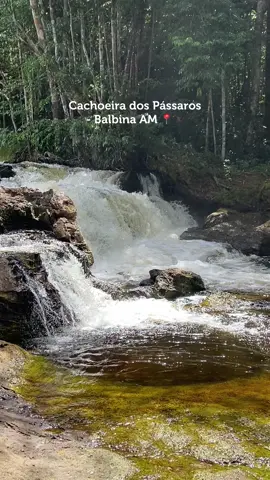 🌿🌄 #natureza #paisagem #cachoeira #balbina #presidentefigueiredo  