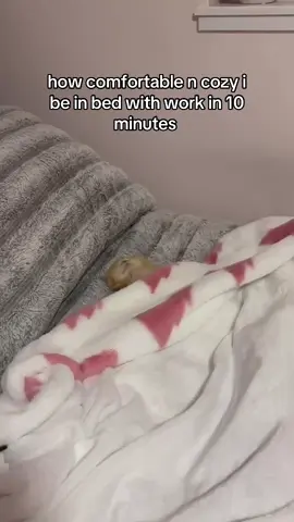 💤 #car #goviral #blowthisup #kitty