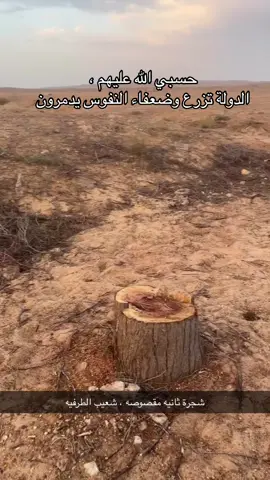 #الأمن_البيئي  #إكسبلور  #الشعب_الصيني_ماله_حل😂😂 