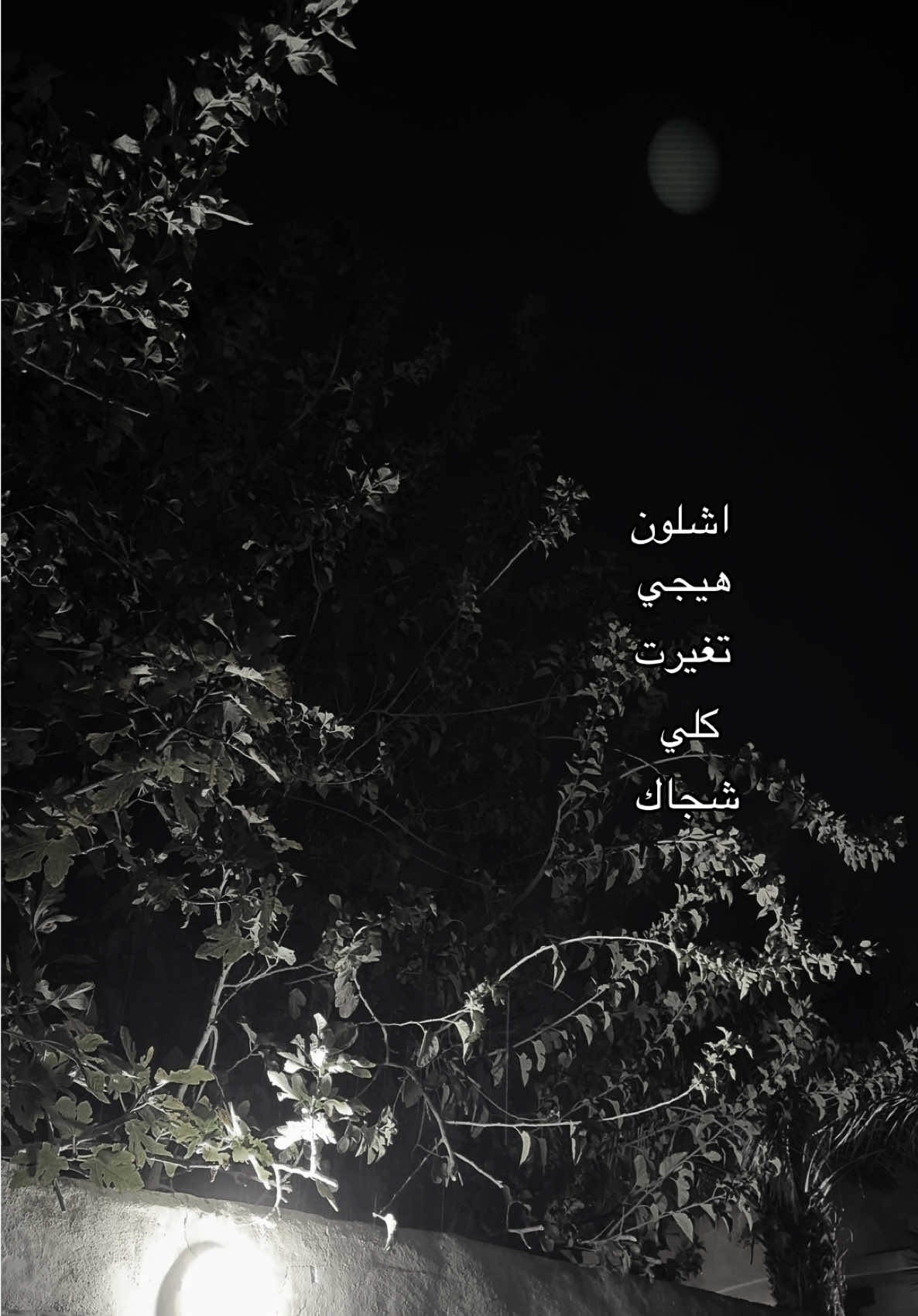 انا جنت المحترك واركض وراك ؟ #قوالب_تيك_توك_جديده #قالب_تيك_توك_جديد #قوالب_تيك_توك #قالب_تيك_توك 