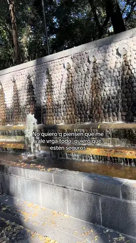 Seguros porfa #parat #contenido #vira #foryou #seguros 