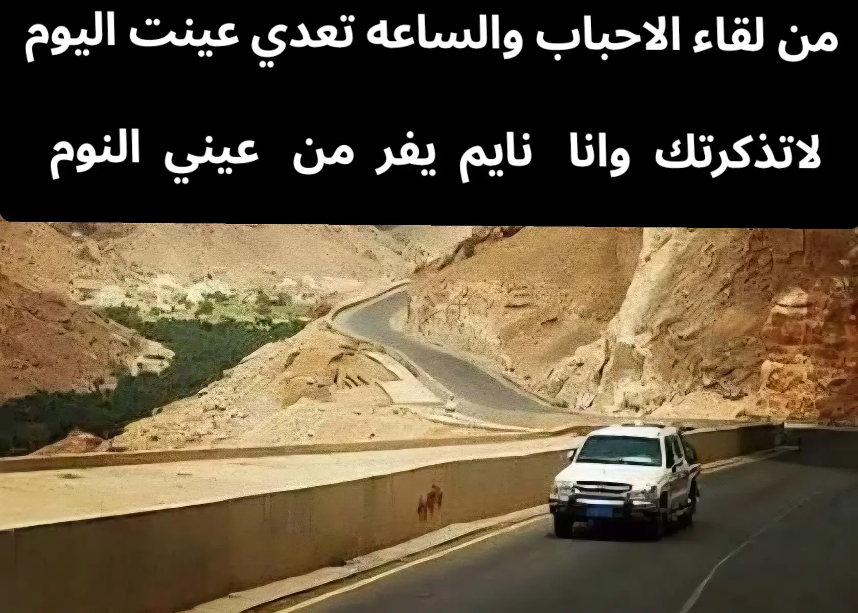 #حضرموت  #حضرموت_وادي_عمد_الهجرين_وادي_العين  #شيلات_حضرمية  #المكلا_عشق_حضرموت  #شعب_الصيني_ماله_حل😂😂😂 