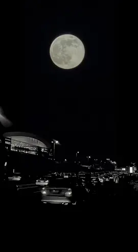 #اكسبلورexplore #fyyyyyyyyyyyyyyyyyyy 