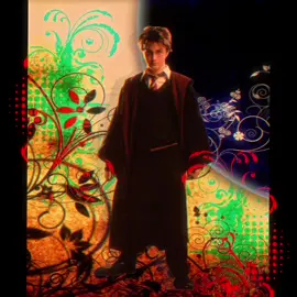 i will probably make another one so drop characters #harrypotter #harrypotteredit #edit #fyp #gay 
