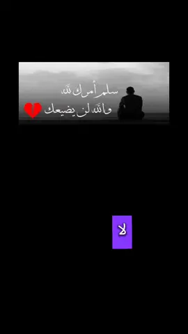 #صلو_على_رسول_الله_صل_الله_عليه_وسلم #صلوا_على_رسول_الله #صلو_على_رسول_الله_صل_الله_عليه_وسلم 