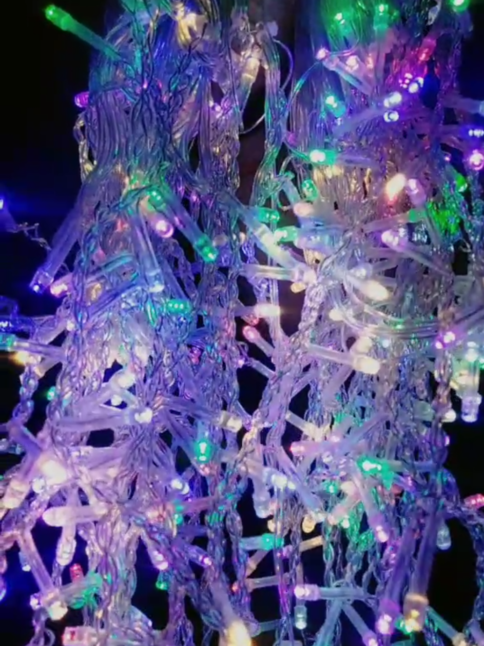 luces  #lucesnavideñas #navidad #luces 