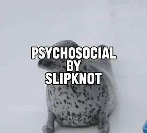 psychosocial by slipknot seal music video  #seal #sealtok #lyrics #slipknot #psychosocial 