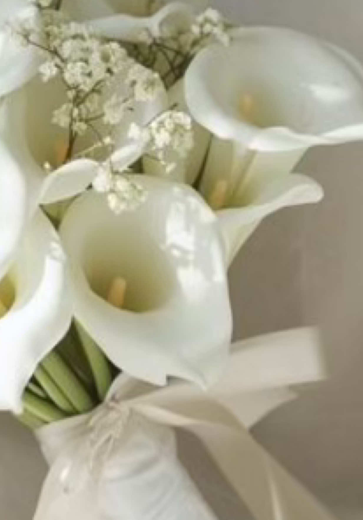 I love making my future brides happy! It’s officially proposal season 🫶🏾 #weddingplanner #proposal 