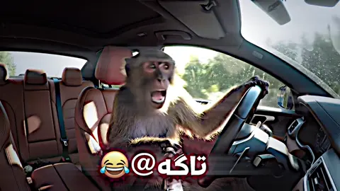 😂😂#tiktok #foryou #kurdoai #zaxo 