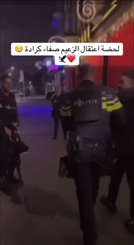 @Safaa karada 11 @Baker  kurdstan ❤️💛💚 #صفاء_كرادة #البسطية #الشعب_الصيني_ماله_حل😂😂 #العراق #الزعيم 