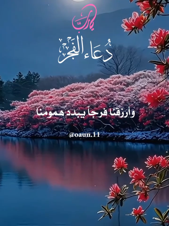 دعاء فجر يوم الأحد 🌹 16/11/2025🌹🌹 اللهم في هذا الفجر أفتح لنا أبواب السماء بدعوةً مستجابه 🤲🤲🤲 #دعاء_فجر_يوم_الاحد #اللهم_امين_يارب_العالمين #دعاء_يريح_القلوب #اللهم_لك_الحمد_ولك_الشكر 