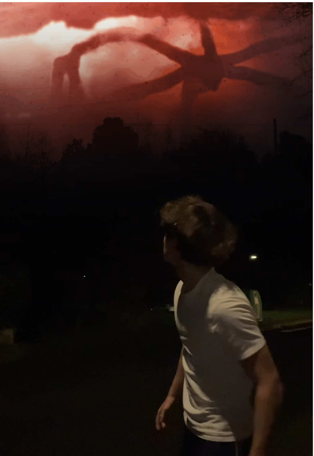 le ciel du 26 novembre