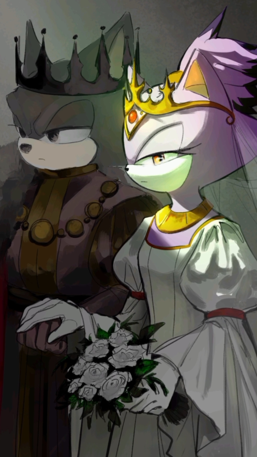 Говорят, принцесса Блейз не вынесла несчастного брака по расчёту и от горя шагнула с высокого утеса, упав в морскую пучину. Королевство долго оплакивало её, но со временем все стало на места. Прошел год, и далеко-далеко оттуда, в самом замке Камелот, появился новый рыцарь. Его имя было сэр Персиваль. #silvaze #SilverTheHedgehog #blazethecat #sonicthehedgehog 