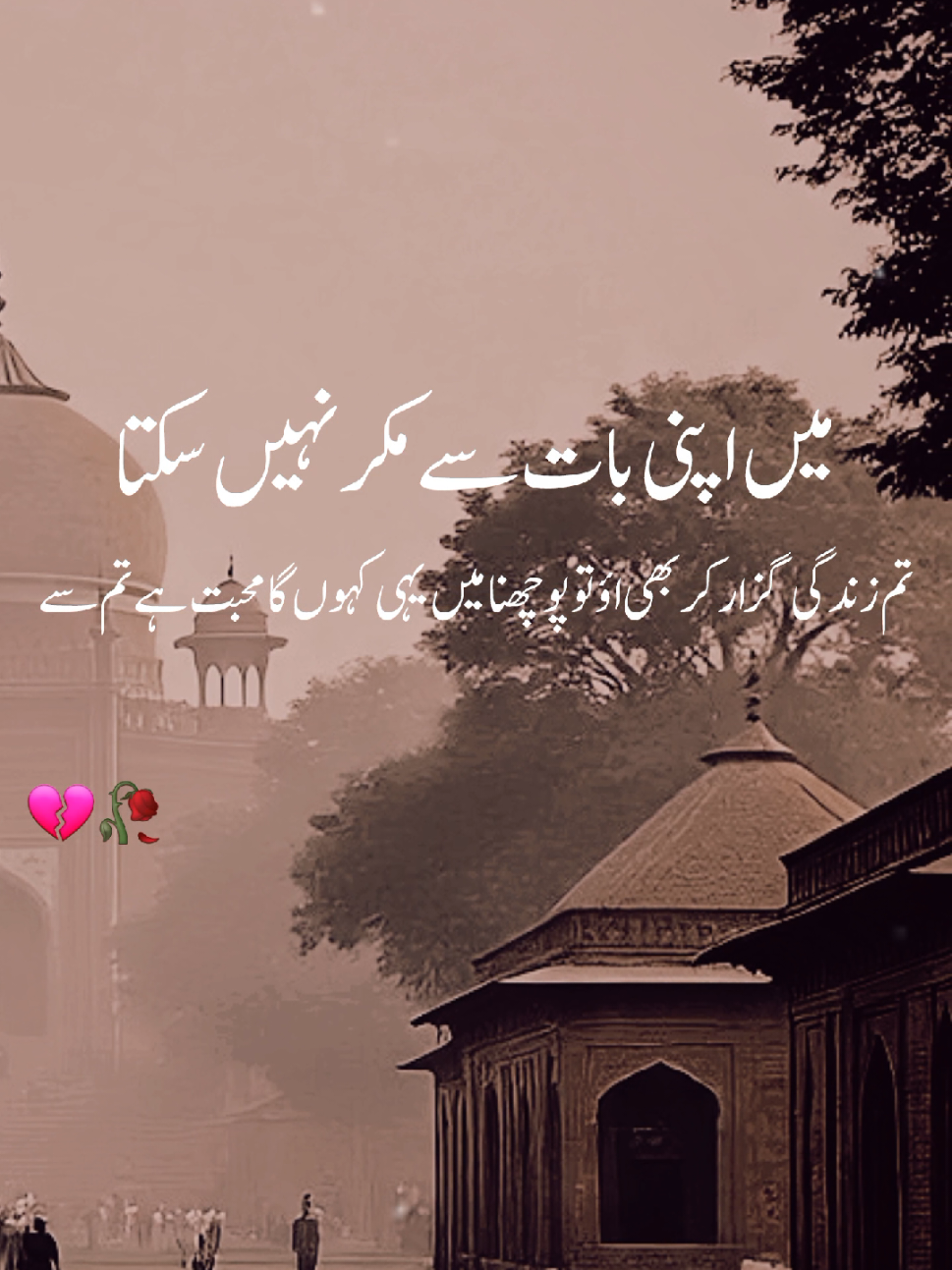 WE SAJNA PIYARE YANU CHAD K NAI JAI DA 🥀💔🥺#poetrystatus 