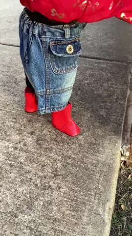 #dogsoftiktok #perroschihuahuas #dogtok #perrhijos #modelo 