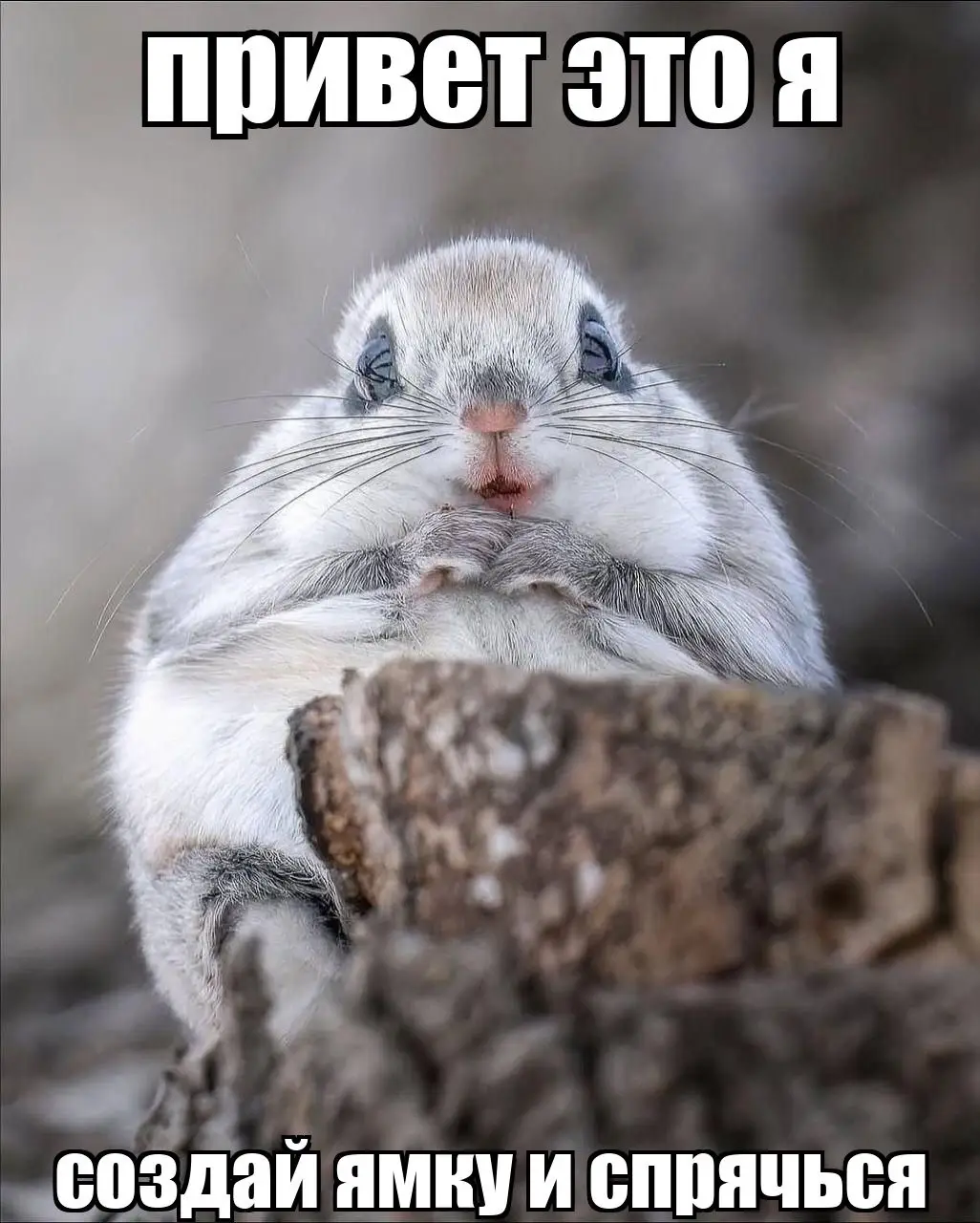 cvetik semicvetic ponyal menya suka ))) ток те кто читал скрижали шумеров поймут :) #рекомендации #тцлизьматика 