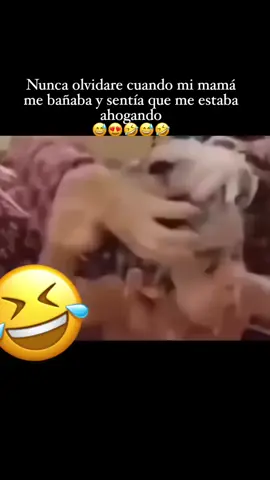 un poco de añoranza para  los que extrañamos a mamá 🖤🖤🖤🖤 como sea pero teníamos que bañarnos 🤣🤣🤣🤣🤣 #livefest2025 