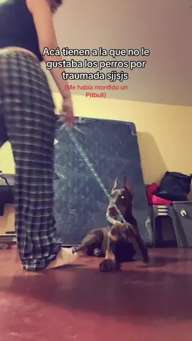 Pa rematar parece un caballo de lo grande que es #fyp #peru #HUMOR 