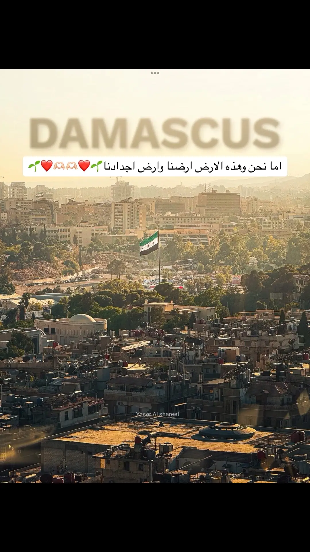 #سوريا #لنا #الاموية 