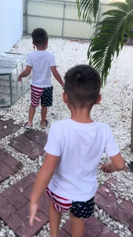 #🤪🤪🤪🤪🤪 #recogiendohuevos🐔🥚🥚 #viraltiktok #paratiiiiiiiiiiiiiiiiiiiiiiiiiiiiiiiiii✨ 