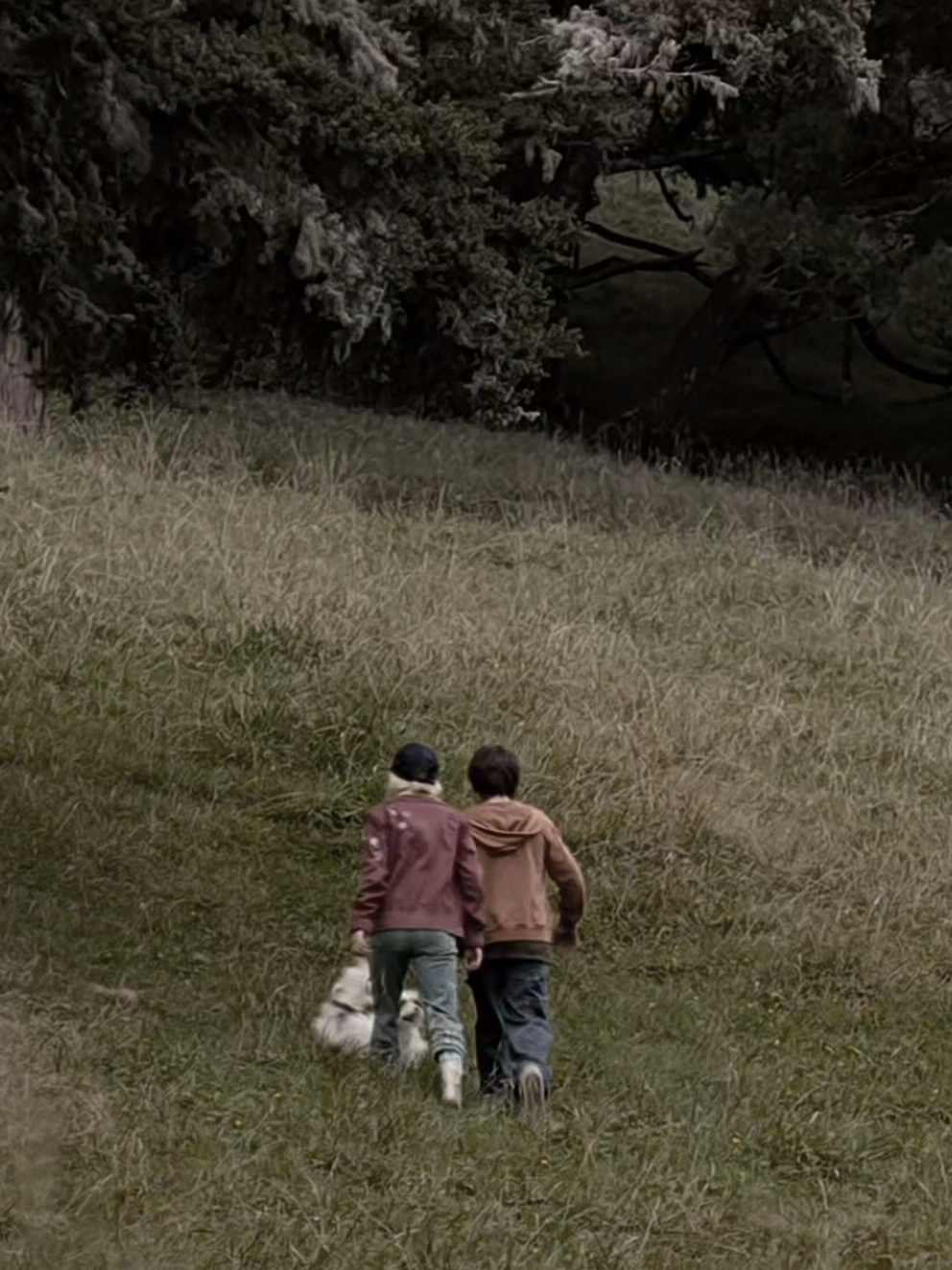 Snowman #bridgetoterabithia  #bridgetoterabithia2  #bridgetoterabithiaedit  #movieedit #snowman  Bridge to Terabithia Bridge to Terabithia2