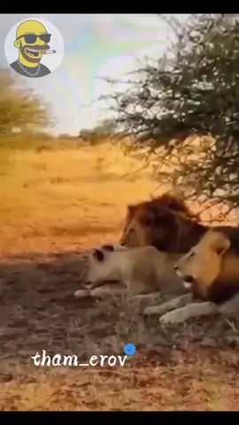 #اكسسسبلوور_explore_fypシ 