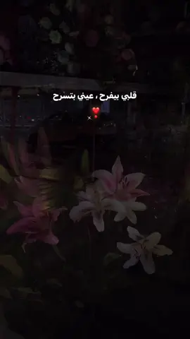 #fyp #fyppppppppppppppppppppppp #اليسا #explorepage 