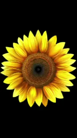 Assalamualaikum🙏#Minggu Ceria#Doa #fypシ゚viral 