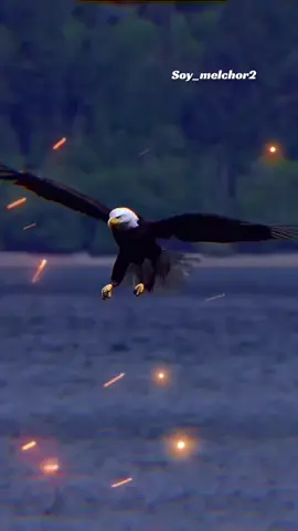 #frases #motivation #reflexion #amor❤️ #motivacional 