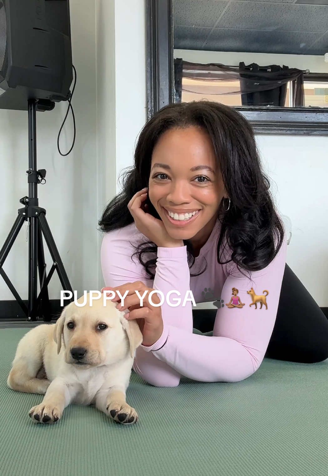 it was so hard not to adopt one lol #thingstodoinkc #kansascity #puppyyoga #kc #dateideas #yogatok @Puppies & Yoga US 