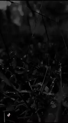 #CapCut #trandingvideoEstetik 