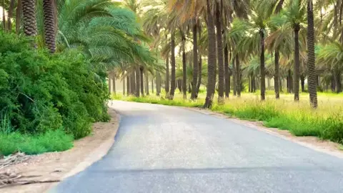 #سمير_صبيح❤️ #اكسبلورexplore #🖤🖤❤️❤️🖤🖤 #سمير_صبيح❤️ 