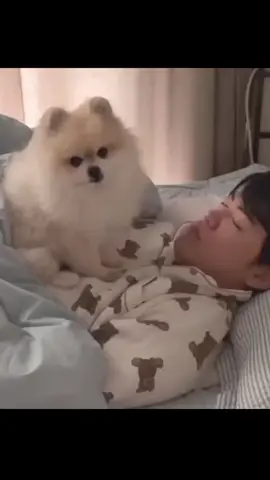 Lẹ tôn lề ơi,t sắp khóc đến nơi rồi này 😭 #HJFGK #HJFGKWIN #j4f #xh #viral 