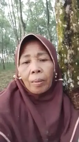 #ffyyyppp berkah barokah 🙋🙏🤲