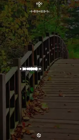 #sassmartsuhaib #lyricsvibesteam #lyricsvideo #viraltiktok #viralvideo🙏🙏🙏 @👸✨ Princess Status 🥰✨👸 @AM Lyrics @DEEJAHLYRICS✍️ @S.Munaxxafa Lyrics @farar Mace 