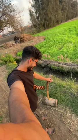 #جيماوي #فلاح #مهندس #fyp #fyp 