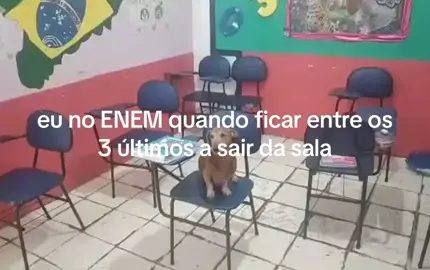 Fiquei entrei os 3 últimos no primeiro dia também #enem2025 #enem #fyp #foryou #humor 