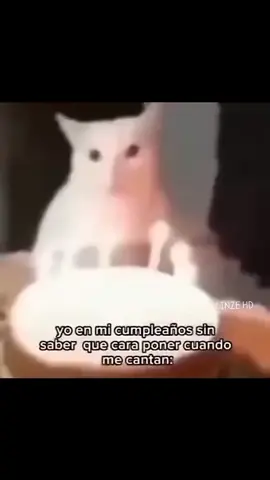 #PARATI #creatorsearchinsights 