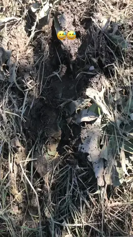 ចប់បាត់ទៅហើយអំបិលបាត់ទៅ😂😂