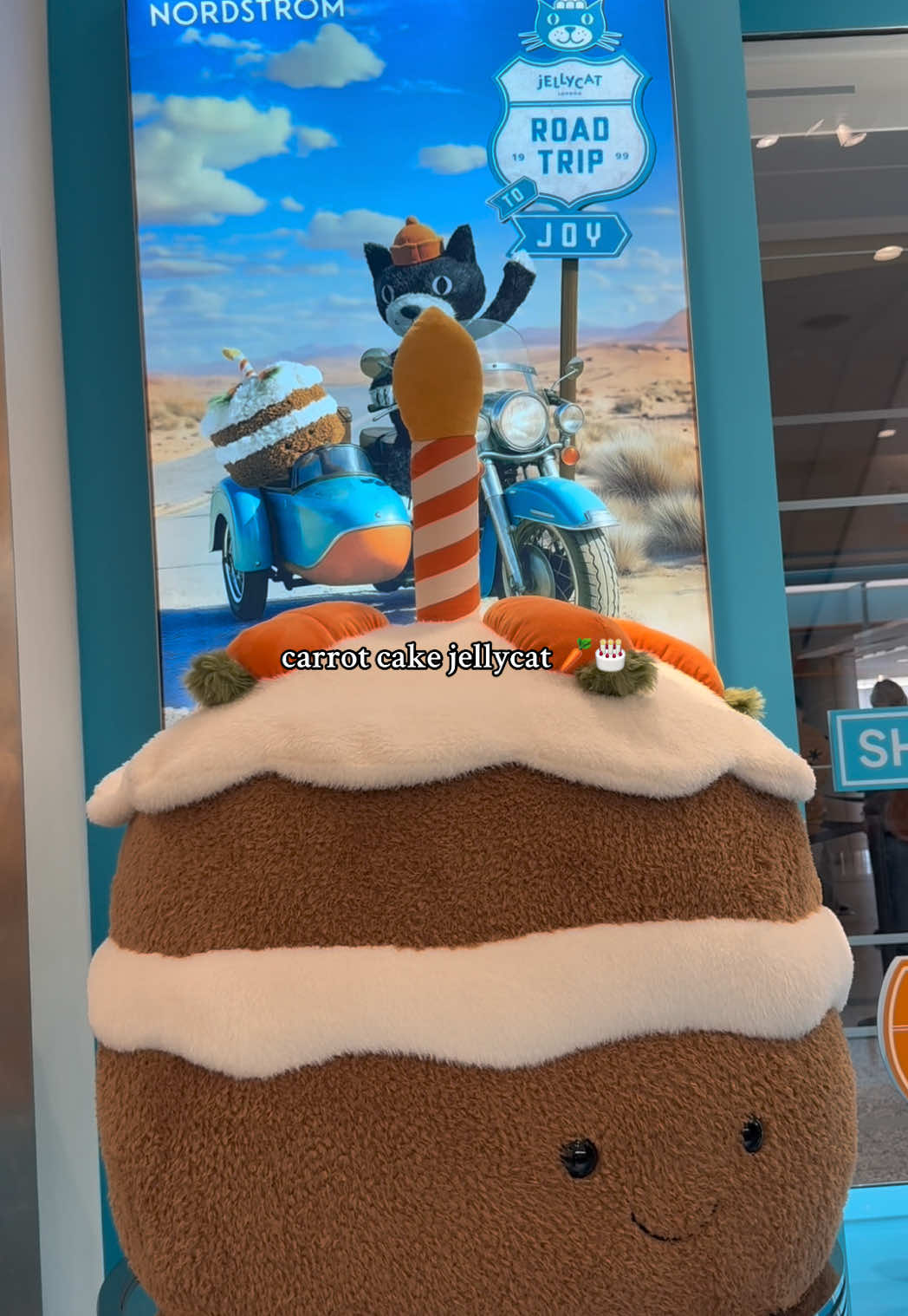 the chicago jellycat store is a dream 🥹 @Jellycat  #jellycat #jellycats #chicago #chicagotiktok #shopping 