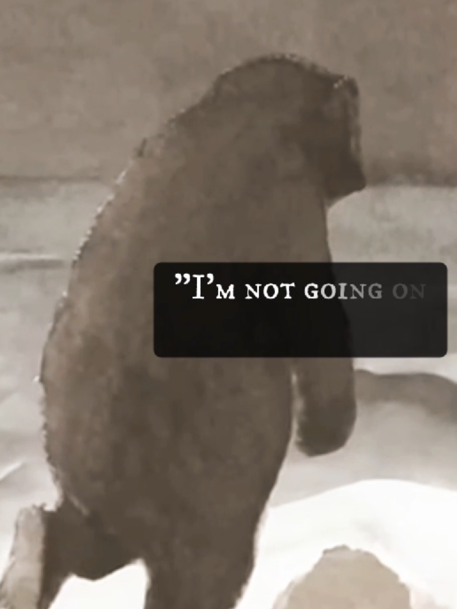 mightve been smt in the way #weregoingonabearhunt #nirvana #theressomethingintheway 