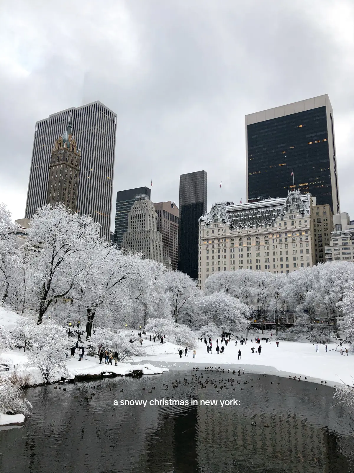 So ready for NYC to look like this ❄️ This year is supposed to be the snowiest winter in 5 years!! 🥹🎄 #nycchristmas #nycsnow #christmasinnewyork #centralpark 