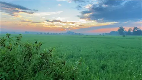 #CapCut it all fell down . #capcutradio #dynasty #capcutpioneer #pioneertemplate 