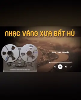 Thư tình gửi em gái 🎸 nhạc bất hủ 8x #nhacbathu #nhacxua #xuhuong #nhacthapnien80_90 #xuhuongtiktok
