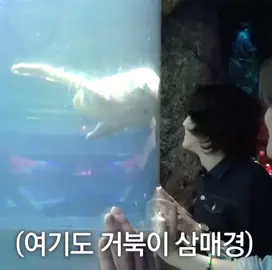 なんだこの可愛い生き物は #treasure #トレジャー #yoshi #ヨシペン #おすすめ  @かや(카야)🦋 @💎하나나💚🤖 @︎︎·𐙚˚︎︎. @nono_🐯🐹🎀 @miri @ぎゅのひと💭🐨 @𐙚 𝘌 𝘮 𝘪 ︎︎ @ワシは立派なとぅめ @あさひの城之内🤖 @.☆* @⭐︎💎🦋⭐︎ @🐯🦋REMI👿💎 @💎🤖🐨💎 @🤖ゆい🐶 @🩷 @ai 아  이 @chie_o6_si3 @이치카（イチカ） @ri_na530 @𝑅𝑖𝑎︎ @RYOKA @𝕐𝕌ℕ𝔸 @Yuuka💎🐮💎 @あいヒョク🦔💜🔥⋆͛ @あい어이🦋🐺 @アサヒのえくぼ🤖 @杏朱 @糸目ジフン @かほ @こあらのぎゅ🐨 