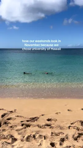 Just floating around #college #hawaii #november #alwayssummer #fypシ 